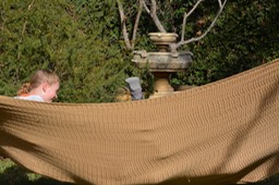 DSC_0414.jpg