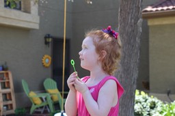 IMG_7197