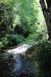 IMG_7537