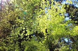 IMG_7552