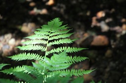 IMG_7560