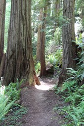 IMG_7583