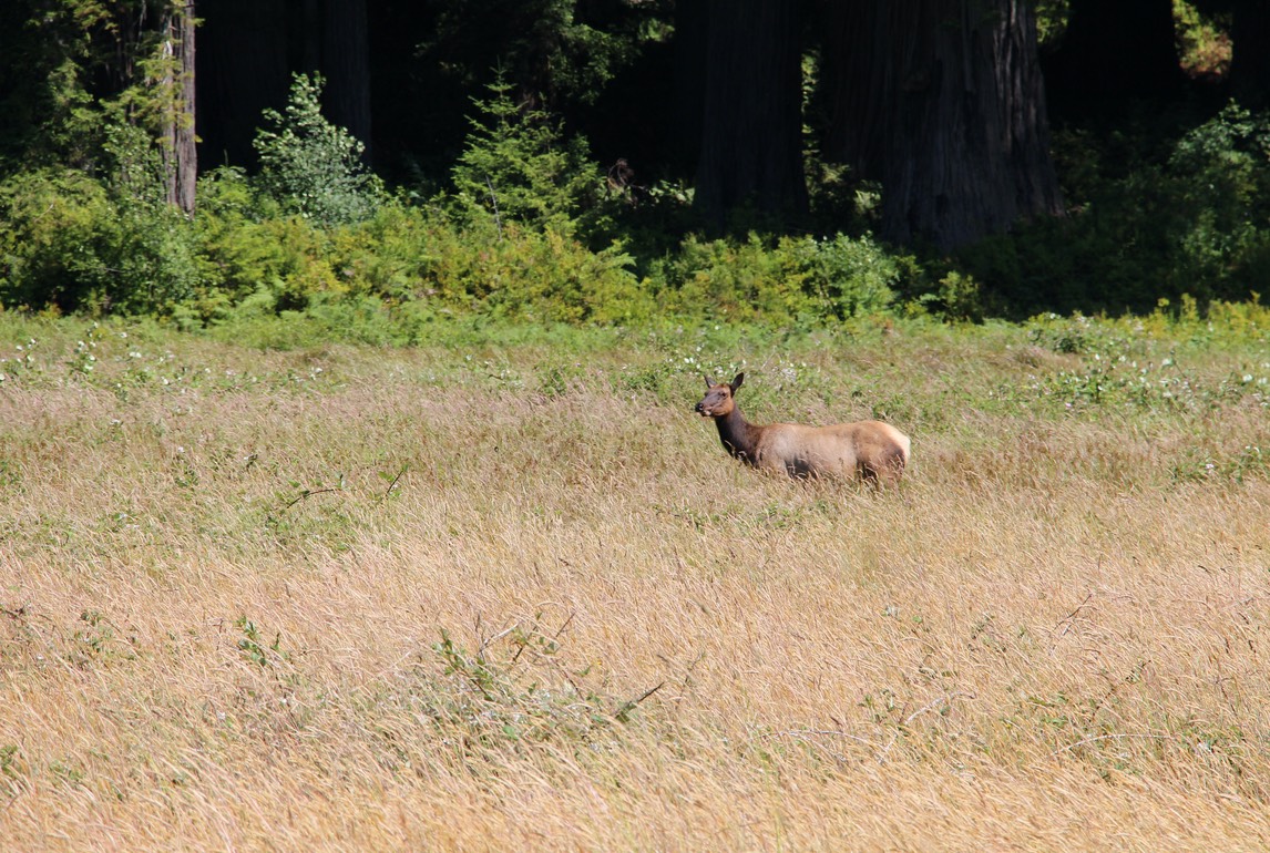 IMG_7692