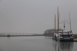 IMG_7738