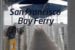 IMG_7753