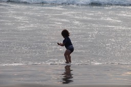 IMG_8509.jpg