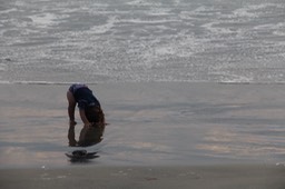 IMG_8515.jpg