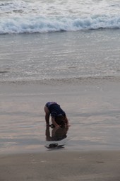 IMG_8516.jpg