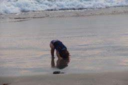 IMG_8518.jpg