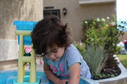 IMG_8608.jpg