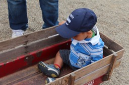 IMG_8740.jpg