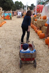 IMG_8742.jpg