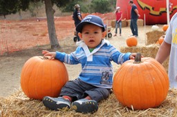 IMG_8758.jpg