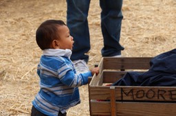 IMG_8851.jpg