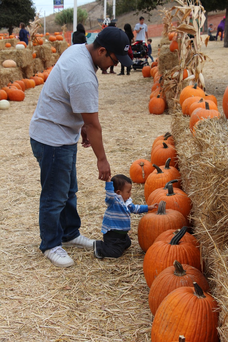 IMG_8853.jpg
