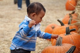 IMG_8860.jpg