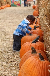 IMG_8867.jpg