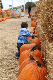 IMG_8868.jpg