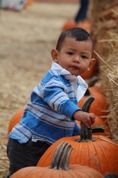 IMG_8872.jpg
