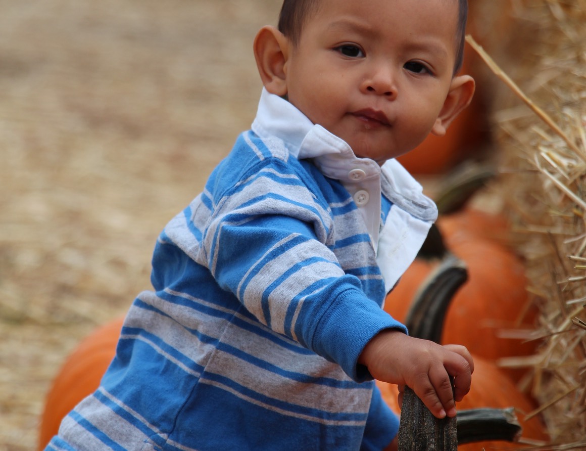 IMG_8872.jpg