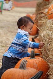 IMG_8873.jpg