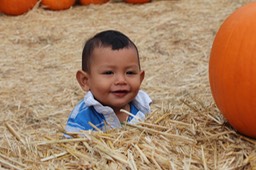 IMG_8881.jpg