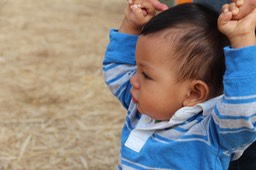 IMG_8939.jpg