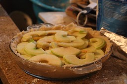IMG_9676
