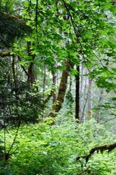 IMG_7817.jpg