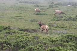 IMG_3707