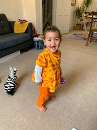 Img1