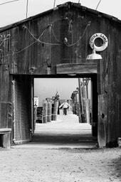 IMG_0120