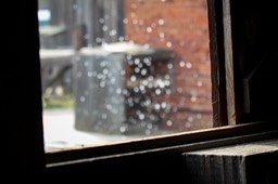 IMG_0123