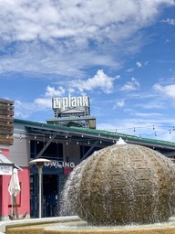 IMG_5929