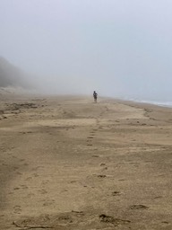 IMG_5978
