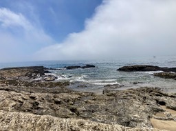 IMG_6006