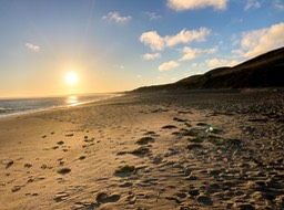 IMG_6041