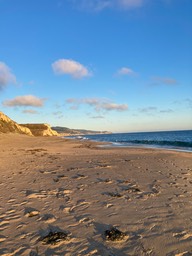 IMG_6043