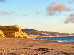 IMG_6045