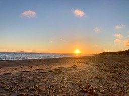 IMG_6047