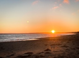 IMG_6051