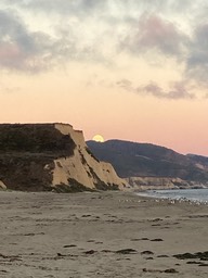 IMG_6055