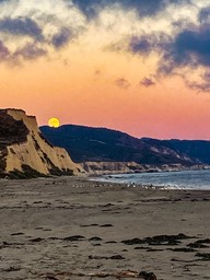 IMG_6058