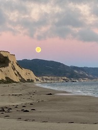 IMG_6069
