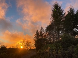 IMG_6147