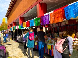 IMG_6582