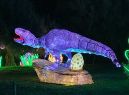 IMG_6898
