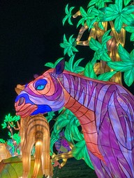 IMG_6906