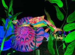 IMG_6933