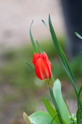 IMG_7028